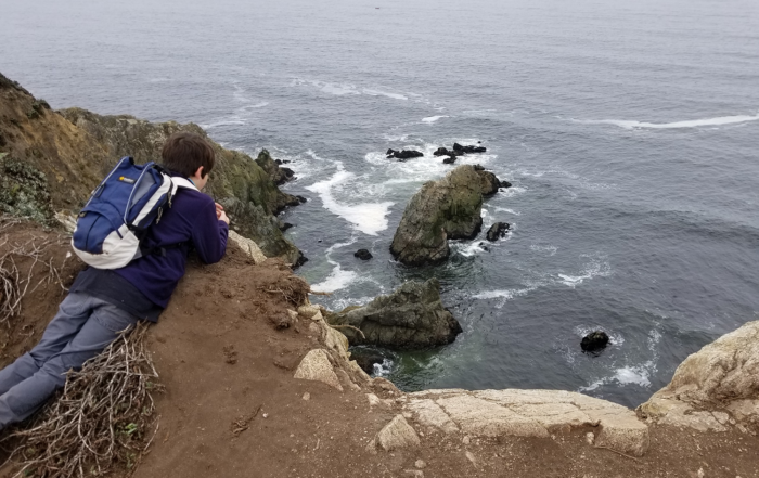 Tomales Point Trail hike